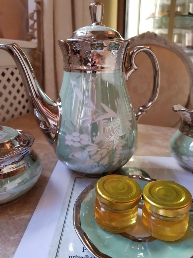 Villa Vodicka 피에슈타니 외부 사진